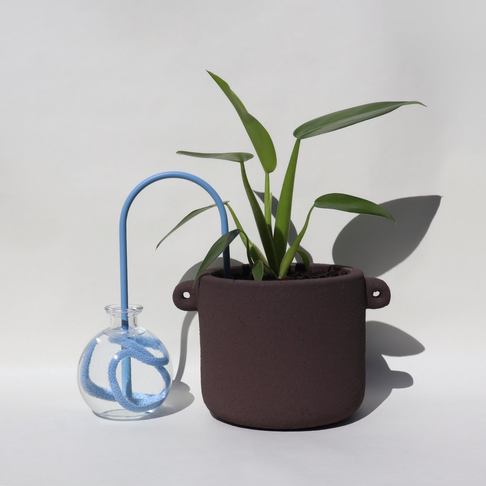 self-watering solution for plants customize your own