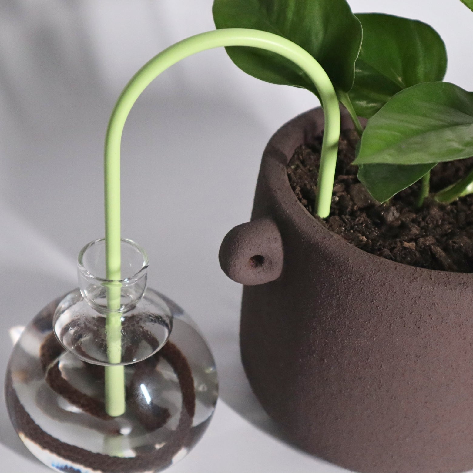 self-watering solution for plants in lime green
