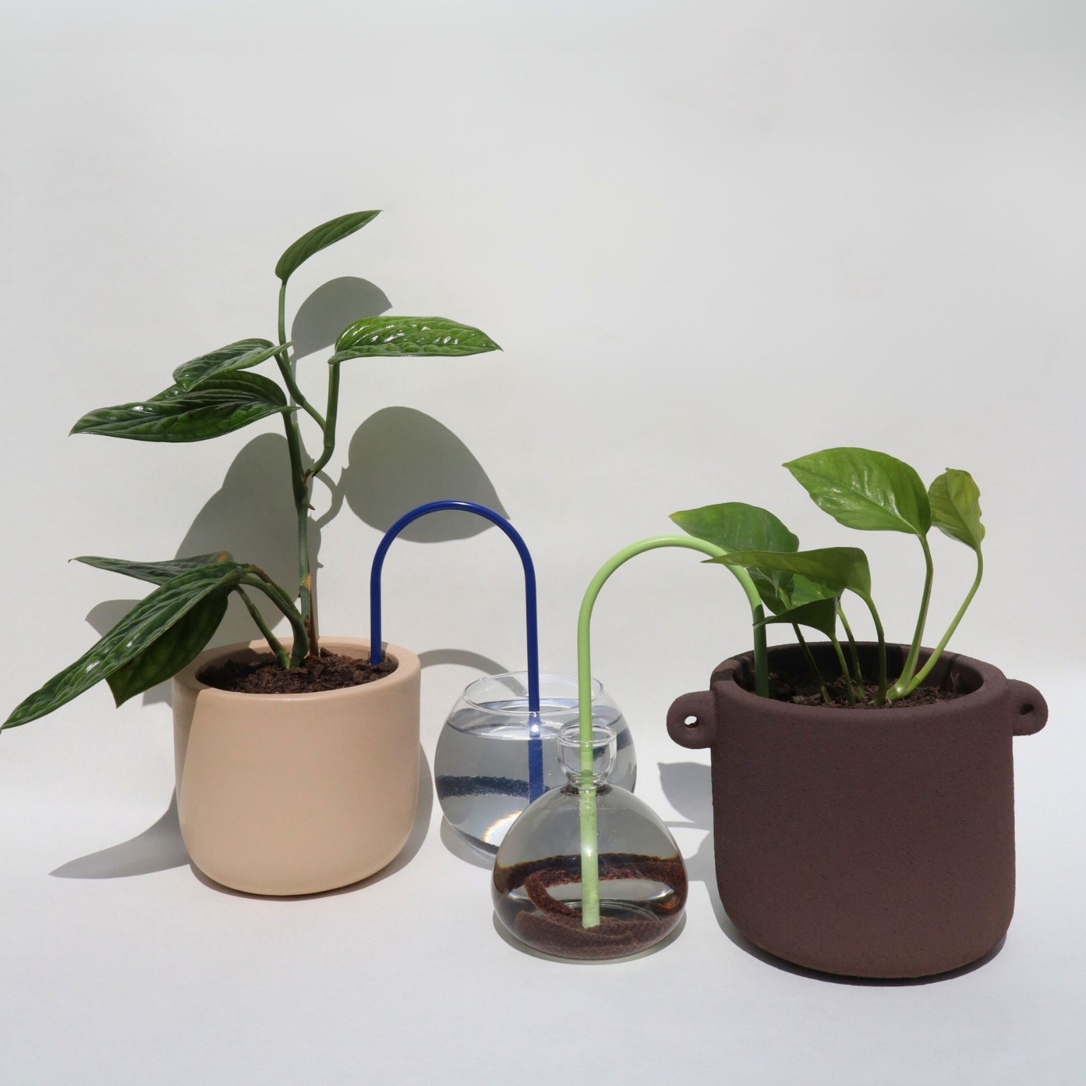 self-watering solution for plants customize your own