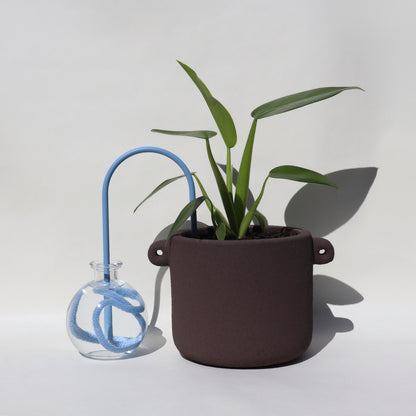 self-watering solution for plants customize your own 