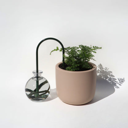 self-watering solution for plants in dark green color