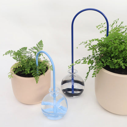 self-watering system for indoor plants