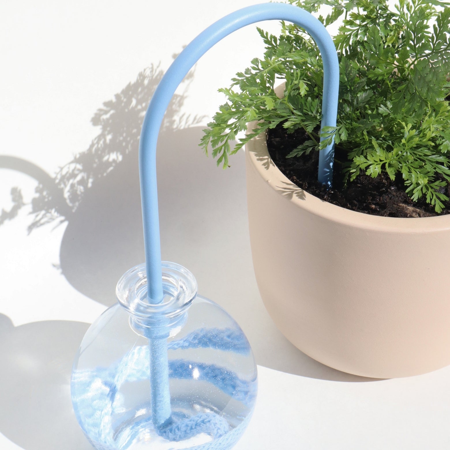 self-watering solution for plants in light blue color