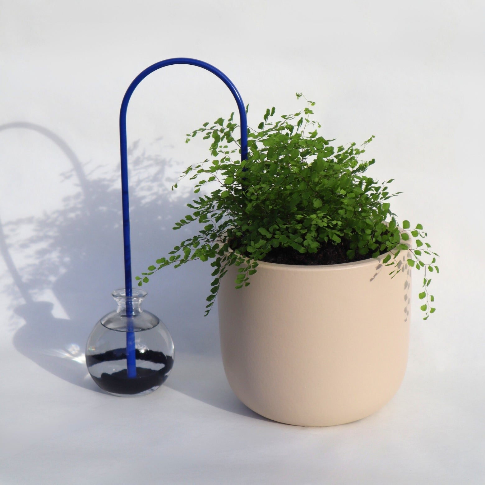 self-watering solution for plants in dark blue color